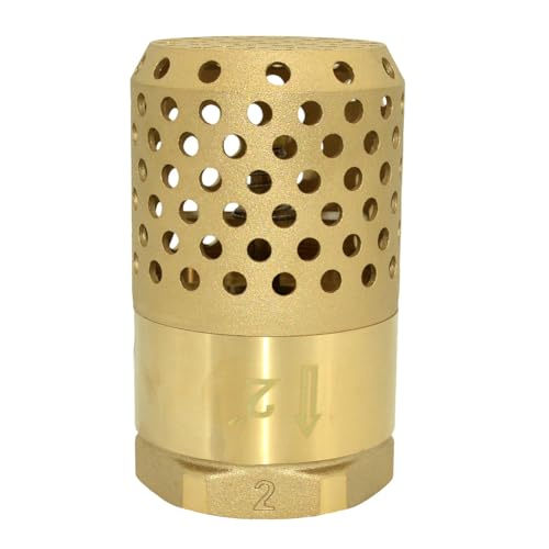 VARMHUS Brass Foot Valve with Strainer, NPT Spring Loaded Check Valve, Lead-Free One-Way Backflow Preventer with Filter Screen for Water Pump and Irrigation Systems (2")