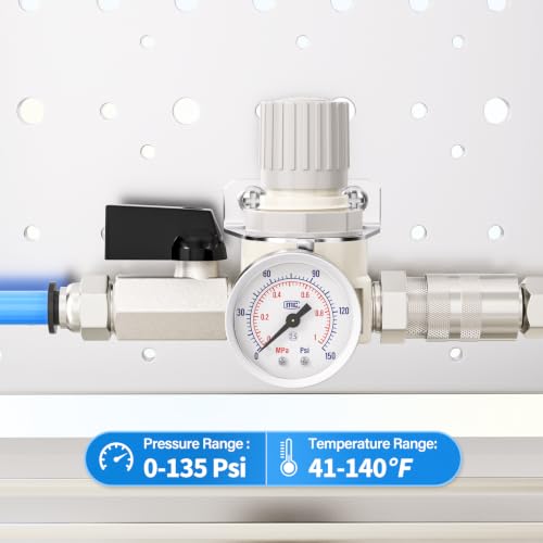 TAILONZ 1/4"NPT Pneumatic Pressure Regulator AR2000,White - color: White, size: Regulation