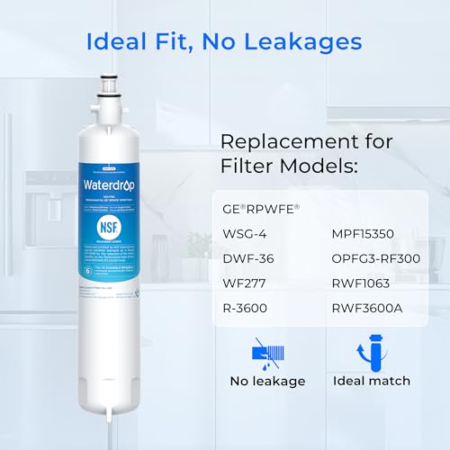 Waterdrop WD-F19C Water Filter Replacement for GE® RPWFE® - size: 1 Count (Pack of 1)