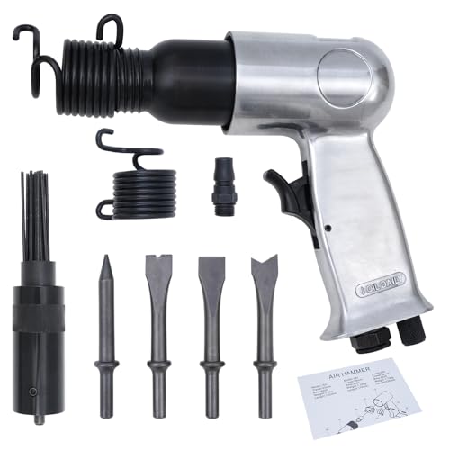 Air Needle Scaler with 4 Chises, 19 Needles Pneumatic Air Hammer Needle Gun for Metalworks, Rust, Weld & Paint Remover