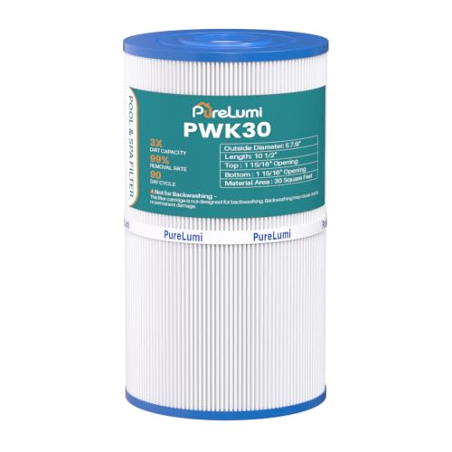 PWK30 Spa Filter Replaces 31489, FC-3915, P/N0969601, 71825, 73178, 1 Pack - size: 1PACK