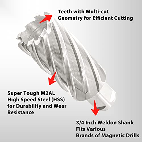 S&F STEAD & FAST Annular Cutter with Pilot Pin, 5/4" x 2", Mag Drill Bit - size: 1-1/4" x 2"