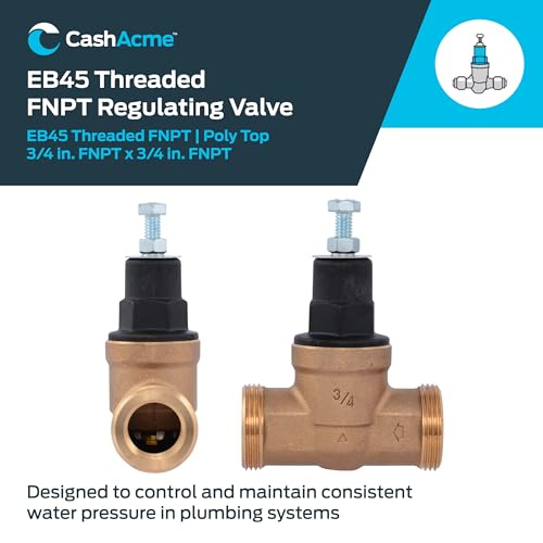 Cash Acme EB45 Pressure Regulating Valve, 3/4 Inch NPT Threaded, Poly Top, 60 PSI, PVA16P-DTH-60 - size: 3/4 in., 60 PSI