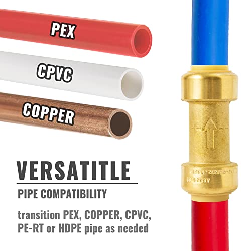 SUNGATOR Check Valve, 3/4 Inch Push-to-Connect Fittings, 2-Pack, Brass - size: 3/4 Inch, style: 2 Pack
