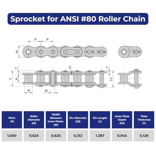 Jeremywell #80 Roller Chain Idler Sprocket, 12 Tooth, 3/4" Bore, Hardened Steel