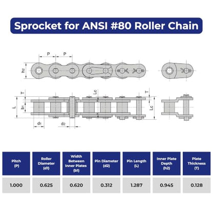 Jeremywell #80 Roller Chain Idler Sprocket, 12 Tooth, 3/4" Bore, Hardened Steel