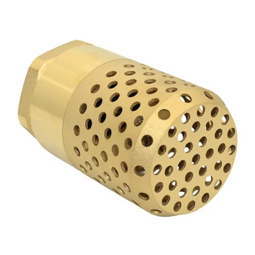 VARMHUS Brass Foot Valve with Strainer, NPT Spring Loaded Check Valve, Lead-Free One-Way Backflow Preventer with Filter Screen for Water Pump and Irrigation Systems (2")