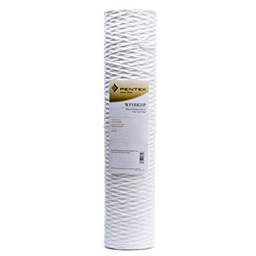 Pentair Pentek WP1BB20P Big Blue Sediment Water Filter, 20-Inch, Whole House Polypropylene String-Wound Filter Cartridge, 20" x 4.5", 1 Micron, White - style: 1 Micron