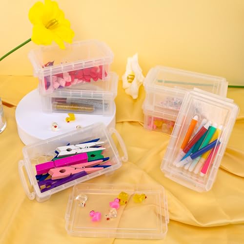 Small Plastic Box, Clear Mini Storage Bins, Stackable Tote with Lid-12 - color: 12-clear
