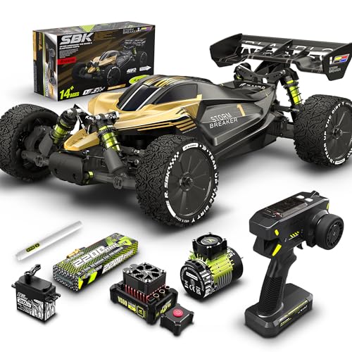 RLAARLO 1/10 Brushless RC Cars, 4×4 Buggy, 50+ MPH, Carbon Fiber, Ages 8+