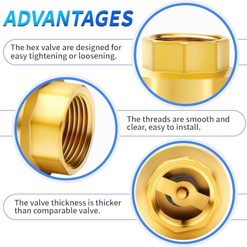 ChillWaves Brass In-Line Spring Check Valve 3/4" NPT Female Thread, One-Way Non-return Vertical Check Valve for Backflow Prevention(1-PACK) - size: 3/4" FNPT