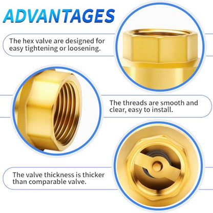 ChillWaves Brass In-Line Spring Check Valve 2" NPT Female Thread, One-Way Non-return Vertical Check Valve for Backflow Prevention(1-PACK) - size: 2" FNPT