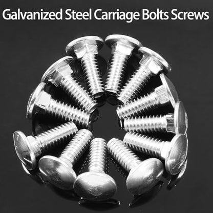 Luomorgo 1/4"-20 x 3/4 in. Carriage Bolts, 12 Sets - size: 1/4"-20 x 3/4 in.
