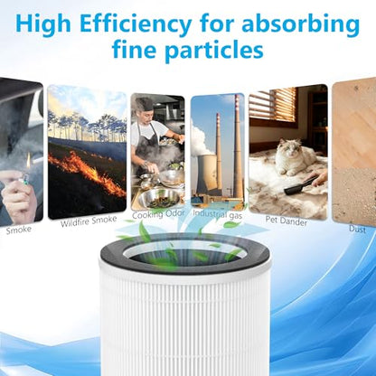 2 Packs HAP609 Replacement Filter Compatible with ECOSELF HAP609 Air Purifi-er for Home Large Room up to 1800 Ft², Main Filter