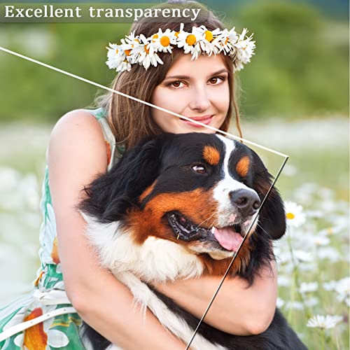 2 Pieces 1/8" Thick (3mm) Acrylic Sheets, Plexiglass Sheets, Clear Cast Plexiglass 8”x 12” with Protective Paper for Signs DIY Display Projects,Craft,Photo Frames (2, 2 piece 12'' * 12'' 3mm) - size: 2 piece 12'' * 12'' 3mm