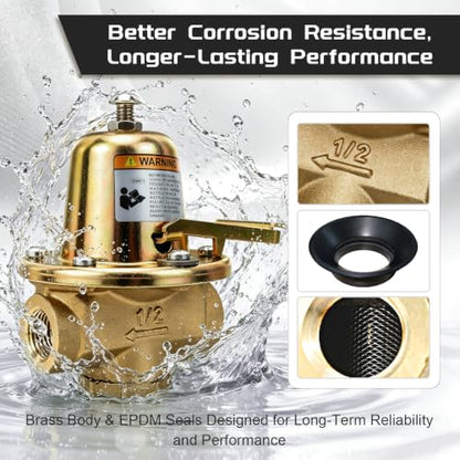 110192 FB-38 1/2" Pressure Reducing Valve For Residential Heating Systems