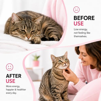 Tapeworm Dewormer for Cats, Supports Removal of Common Intestinal Worms for Roundworms & Hookworms