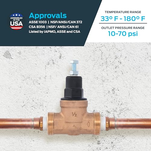 Cash Acme EB45 Pressure Regulating Valve, 1/2 Inch NPT Threaded, Poly Top, 60 PSI, PVA08P-DTH-60 - size: 1/2 in., 60 PSI