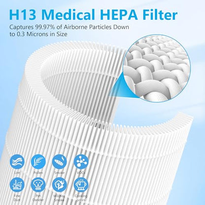 2 Packs HAP609 Replacement Filter Compatible with ECOSELF HAP609 Air Purifi-er for Home Large Room up to 1800 Ft², Main Filter