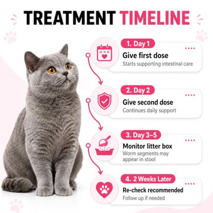 Tapeworm Dewormer for Cats, Supports Removal of Common Intestinal Worms for Roundworms & Hookworms