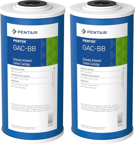 Pentair Pentek GAC-BB Big Blue Whole House Carbon Water Filter - size: Pack of 2, style: 10" x 4.5"