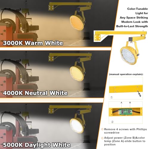 LED Loading Dock Light with 43" Adjustable Swing Arm, 30W/50W Selectable, 5500LM 3CCT (3000K/4000K/5000K), IP65 Waterproof, 360° Rotatable Work Light for Warehouse, Trailer, Garage, 100–277V ETL