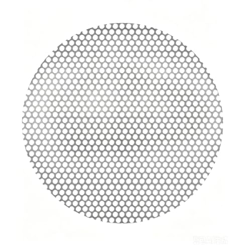 10" Round Perforated Metal Sheets, 19 Gauge, 1/5" Hole (About 0.2",5mm),Perforated Stainless Steel Sheet Decorative Metal Panel, Fireplace Ash Guard, BBQ Grill Grate(1Pcs 10" Round) - color: 1pcs 10'' Round