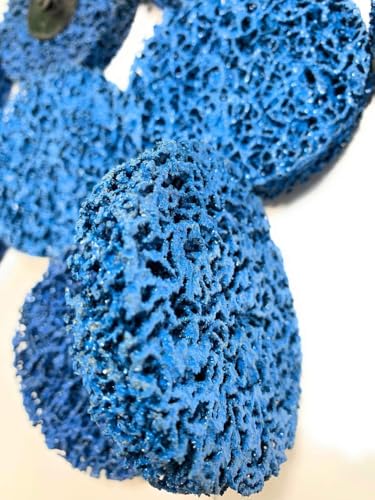 SIGNI Poly Strip Abrasive Surface Conditioning Quick Change Rolok Disc for Quick Paint, Rust, and Oxidation Removal - 3 Inch Diameter - Ideal for Automotive, Metalworking, and DIY （Blue,10 pcs - size: 3 inch