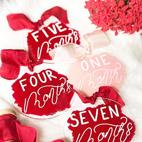 20 Pieces Clear Acrylic Circles 3 Inch Acrylic Plexiglass Disc Transparent Round Acrylic Card Sign for Milestone Markers, Acrylic Place Cards, Painting and DIY Projects - size: 3 Inch