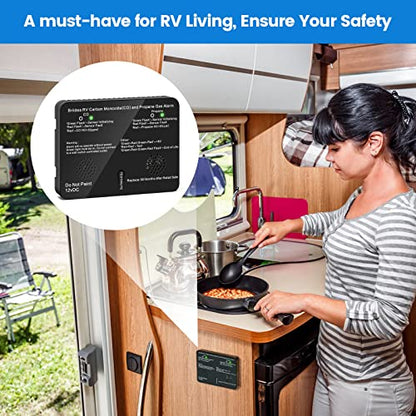 briidea 2-in-1 RV Accessories Gas Detector