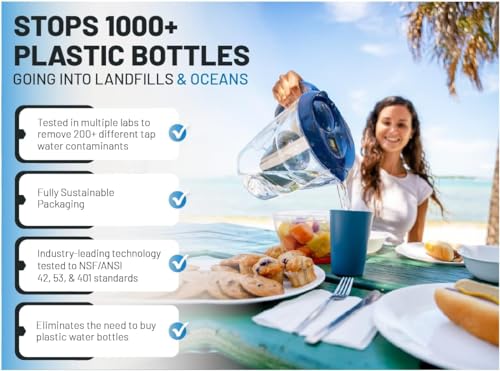 Epic Water Filters Pure REPLACEMENT Compatible with Epic Pure Water Pitcher/Removes Fluoride, Lead, Forever Chemicals, Heavy Metals, Industrial Pollutants/Filters 100 Gallons (1, Pure Standard)
