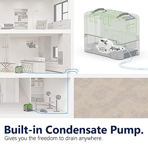 ALORAIR 180 PPD Commercial Dehumidifier with Pump, 6-Year Limited Warranty - color: Green