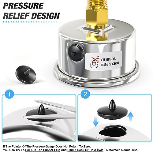 MEANLIN MEASURE 0~100Psi Dry Pressure Gauge Stainless Steel 1/4" NPT 2" FACE DIAL Waterproof for Well Pump Water Tire Water Pressure Tester Back Mount, with 1/2" NPT and 3/8" NPT Hex Bushing - size: 0-100Psi
