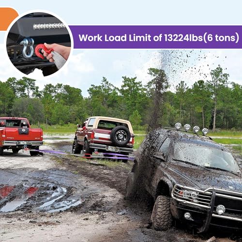 Lifting Slings Straps with Hooks - 3.3 FT, 4409LB Pounds Capacity, Polyester Bridle Sling, Heavy Duty Two Leg Rigging Strap for Engines, Cranes, Hoists, Truck, Purple