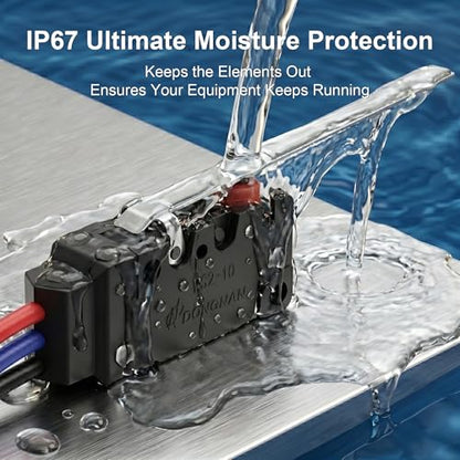 Heavy Duty IP67 Waterproof Micro Switch, UL Recognized Component - size: WS2-Hinge Lever