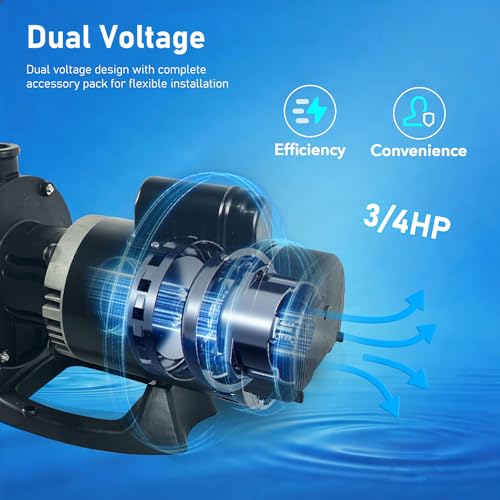 Dual Voltage 115/230Vac Pool Booster Pump, Alternative of PB4-60 - color: Dark Gray
