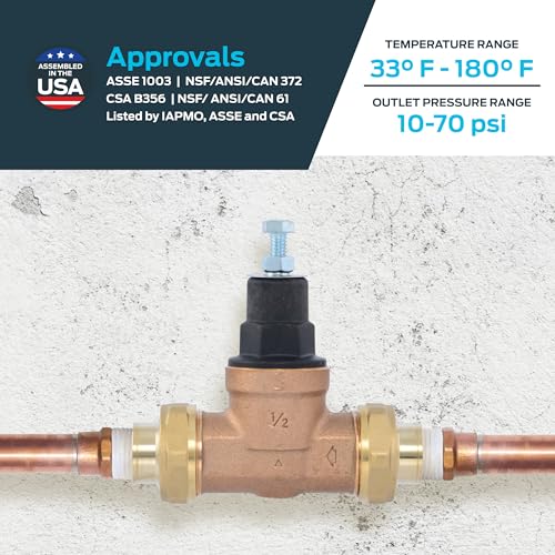 Cash Acme EB45 Pressure Regulating Valve, Double Union, 1/2 Inch NPT Female, Poly Top, 60 PSI, PVA08P-DUTH-60 - size: 1/2 in., Poly Top