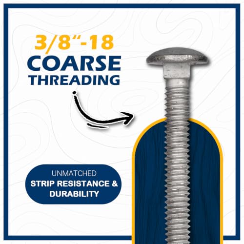 3/8" x 2-1/2" Hot Dip Galvanized Grade 307A Carriage Bolt Kit, 50 Pack, Comes with 3/8" USS Flat Washers & 3/8"-16 Hex Nuts, Heavy Duty Exterior Construction Use - size: 3/8"x2-1/2"