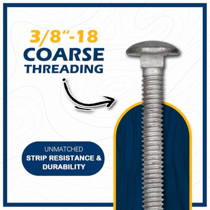 3/8" x 2-1/2" Hot Dip Galvanized Grade 307A Carriage Bolt Kit, 50 Pack, Comes with 3/8" USS Flat Washers & 3/8"-16 Hex Nuts, Heavy Duty Exterior Construction Use - size: 3/8"x2-1/2"