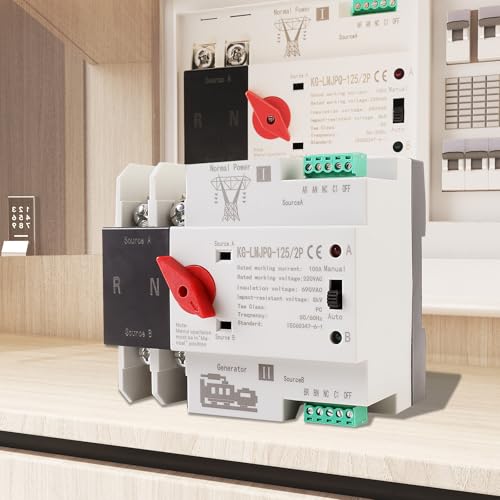 2P 100A Dual Power Automatic Transfer Switch, 220V - size: 2P 100A 220V