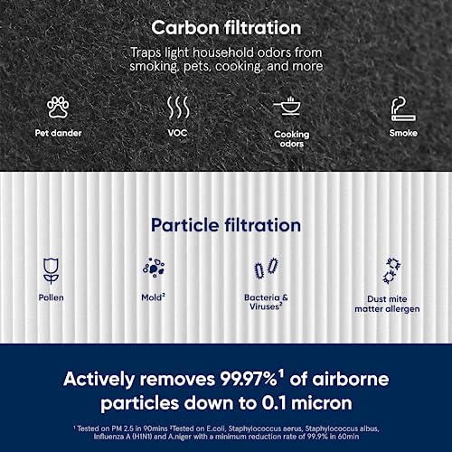 BLUEAIR Genuine 211+ Air Purifier Replacement Filter, Everday - size: 2.8" x 20.4" x 11.7", style: 211+ Particle Filter