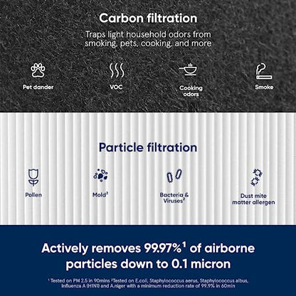 BLUEAIR Genuine 211+ Air Purifier Replacement Filter, Everday - size: 2.8" x 20.4" x 11.7", style: 211+ Particle Filter