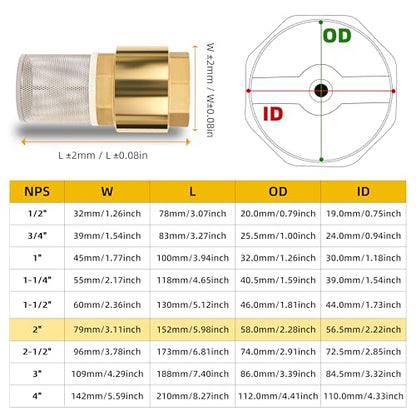 2" NPT Foot Valve with Filter, Brass, Heavy Duty, Female Thread, DN50 - size: 2 Inch