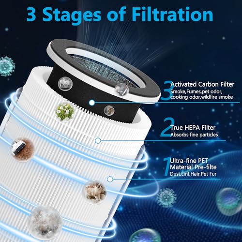 2 Packs HAP609 Replacement Filter Compatible with ECOSELF HAP609 Air Purifi-er for Home Large Room up to 1800 Ft², Main Filter