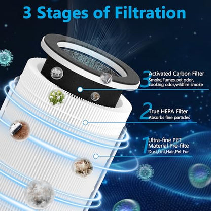 2 Packs HAP609 Replacement Filter Compatible with ECOSELF HAP609 Air Purifi-er for Home Large Room up to 1800 Ft², Main Filter