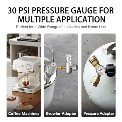 Mini1 Inch Pressure Gauge, 0-30 Psi Air Gauge, Lead-Free.Stainless Steel Case, 1/8" NPT Back Mount, Pressure Gauge for Water Air Pressure Test - size: 0-30 PSI, style: Back Mount