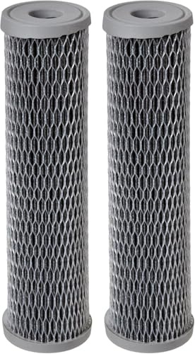 Pentair Pentek NCP-10 10" x 2.5" Carbon Water Filter, Pack of 2 - size: Pack of 2, style: 10" x 2.5"