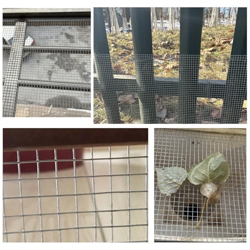 Galvanized Hardware Cloth 1/4 Inch Mesh 4in X 20ft 23 Gauge Hot-dip Galvanized After Welding, Hot Dipped Zinc Coating Welded Cage Wire Mesh Roll, Handicraft Making Wire Mesh