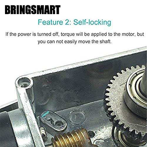 BRINGSMART 24V 40rpm DC Worm Gear Motor Self-Locking Mini Engine Turbine - size: 24V 40rpm