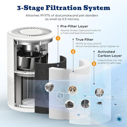 2 Pack B-D02L M05 Replacement Filter Fit for MOOKA Air Purifier